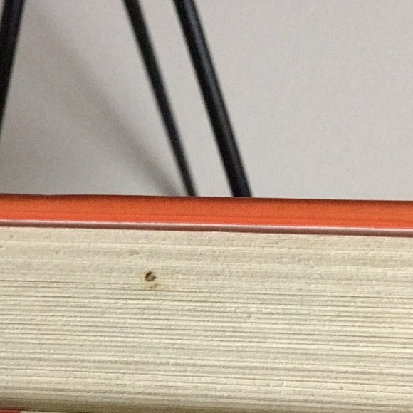 Signed by Author “Neal Flambé Marco Polo Murders” - Picture 5 of 5